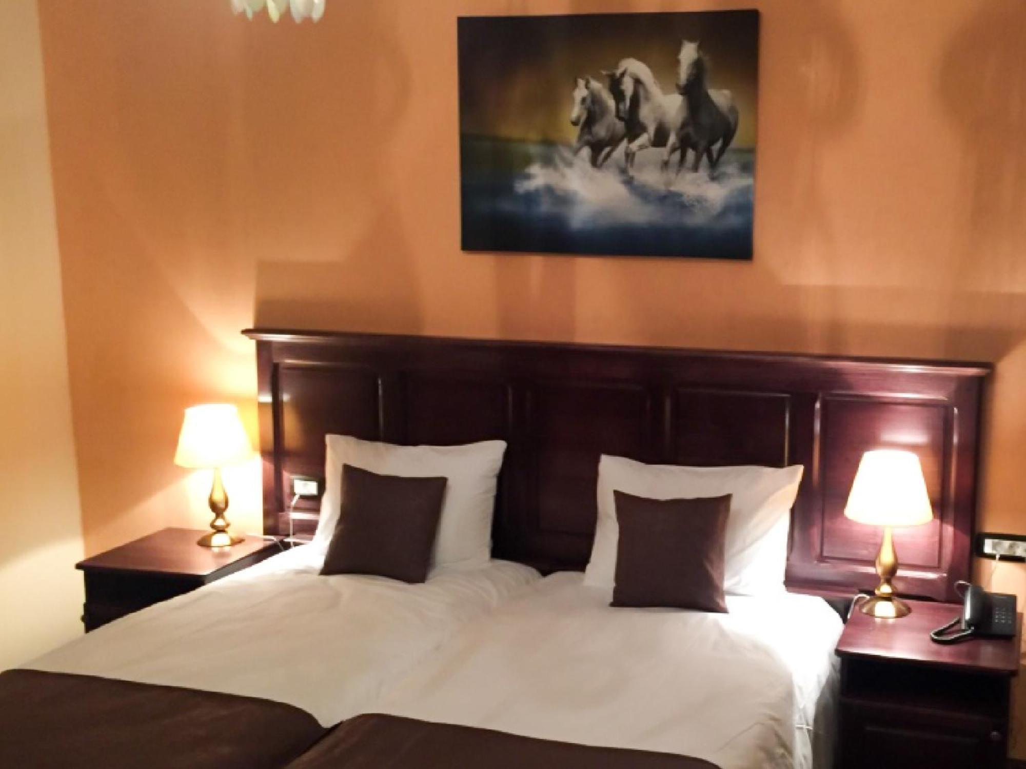 Laura Holiday Hotel Brăila Værelse billede